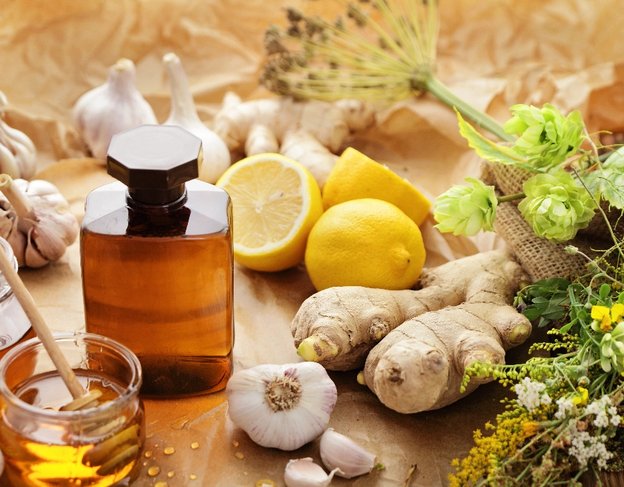 Image of tec nut single websites demo Alternative Medicines Need a new company website?: small company website, company website design, Free Website, website building companies, how to startup a business, best small business websites, Register Domain, Company Websites, building a small business website, build a website, WordPress